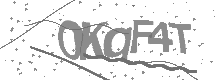 visual captcha